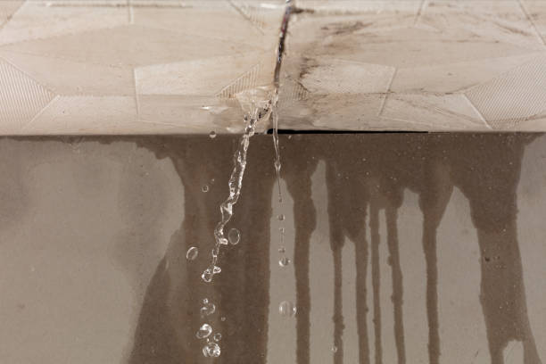 Professional Sewage Cleanup technician working in Bruceton, TN